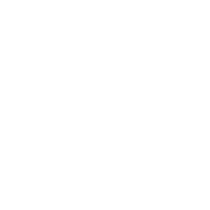 rocket bingo casino