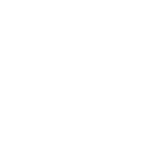 VIP Spins Casino