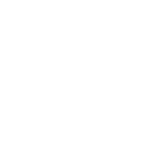 live bingo casino