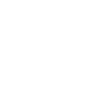 betwarrior casino