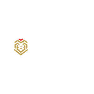 Lion Slots Online Casino