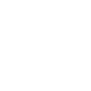 leon casino