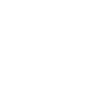 Twin Casino