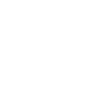 Rose Slots Casino