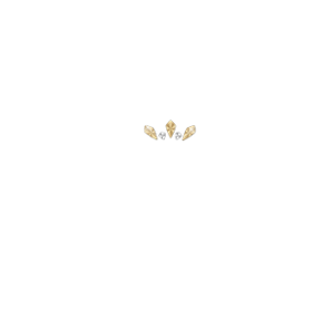 Exclusive Casino